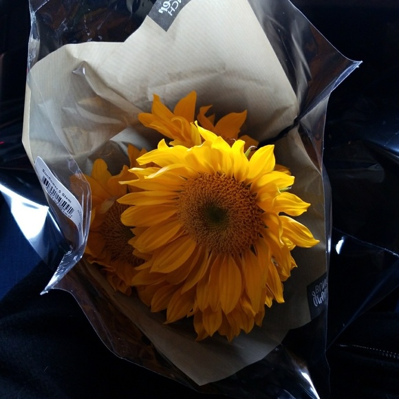 Meet your Posher, Arika - Picture 1 of 1